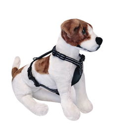 2016年這些寵物用品最好用,鏟屎官們怎么看